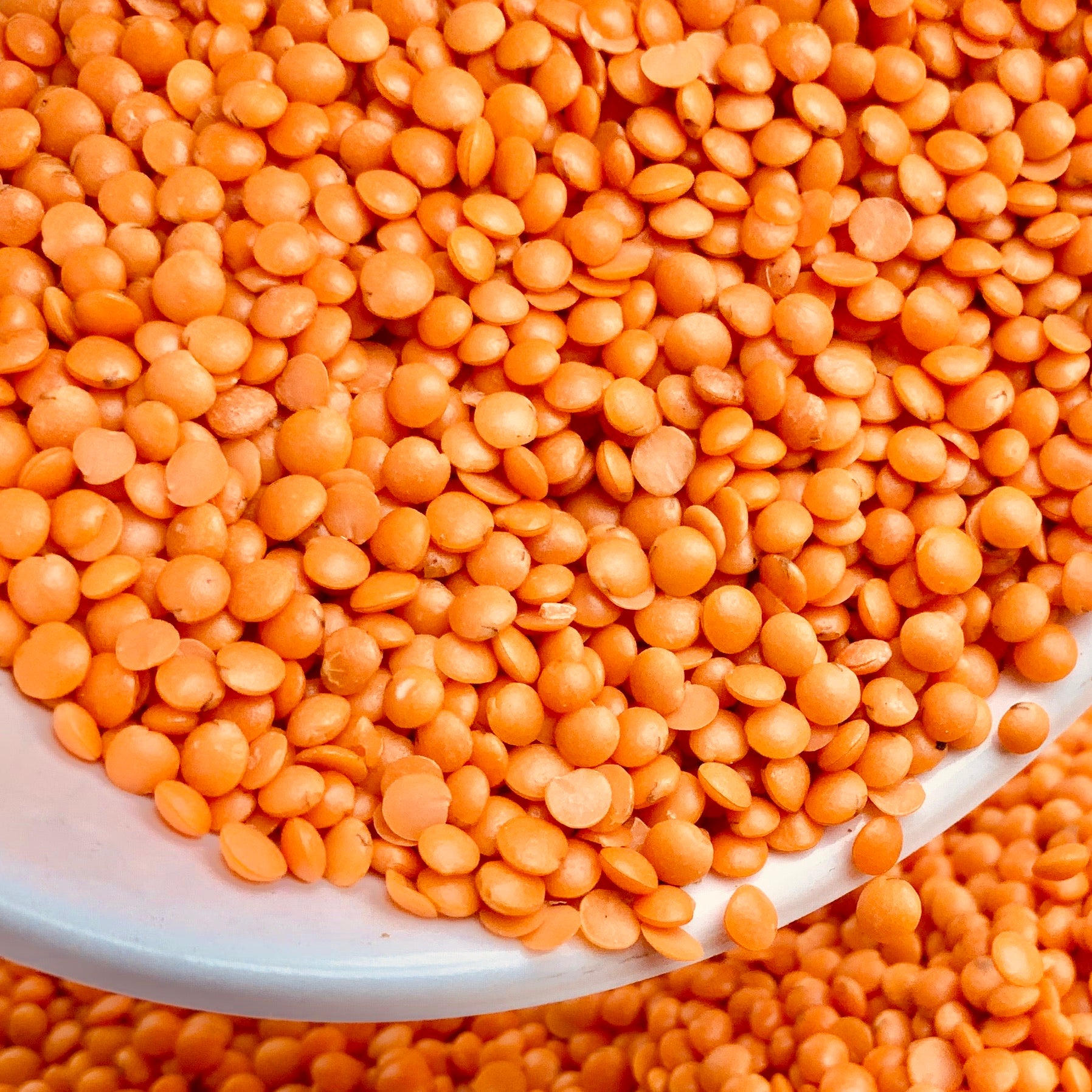 Masoor Dal