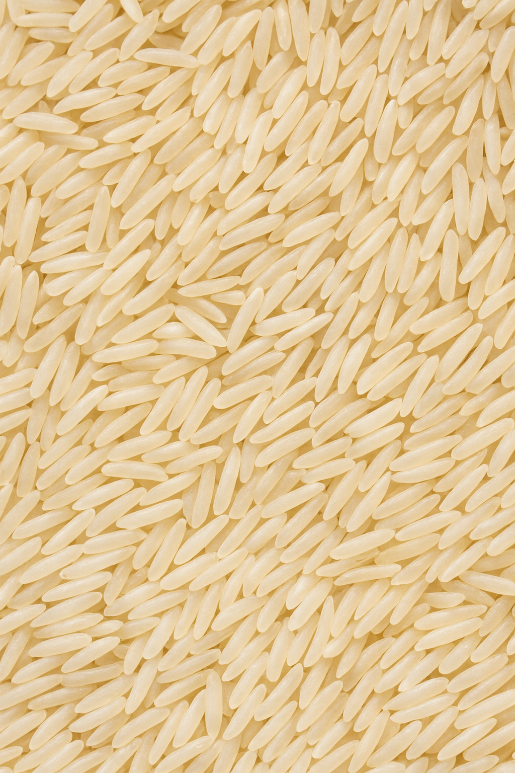 Rice field